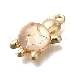 Acrylic Alloy Pendants&nbsp;FIND-M041-03E