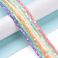 天然ニシキウズガイシェルビーズ連売り  染め  コラム  ミックスカラー  3.5x3.5mm  穴：0.8mm  約113個/連  15.59''（39.6センチメートル）&nbsp;SSHEL-H070-02