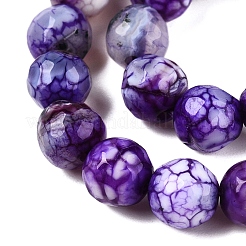 Natural Crackle Agate Beads Strands&nbsp;G-T119-01A-05