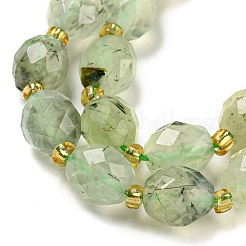 Natural Prehnite Beads Strands&nbsp;G-N342-58