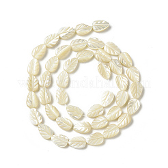 Natural Trochid Shell/Trochus Shell Beads Strands&nbsp;SHEL-F004-14