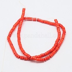 Dyed Synthetic Turquoise Beads Strands&nbsp;G-P083-6mm-83L
