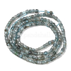 天然石アパタイトビーズ連売り  ファセットテーブルカットキューブ  2.5x2.5x2.5mm  穴：0.8mm  約172個/連  14.96''（38センチメートル）&nbsp;G-RM250104-C8