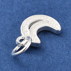 925 Sterling Silver Charms&nbsp;STER-S009-07B-S