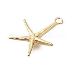 Rack Plating Brass Pendant&nbsp;KK-M079-11G