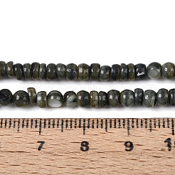 Natural Freshwater Shell Dyed Beads Strands&nbsp;SHEL-T020-29A