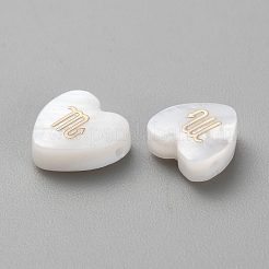 5Pcs Natural White Shell Beads&nbsp;LS-BSHE-TAC0004-02J