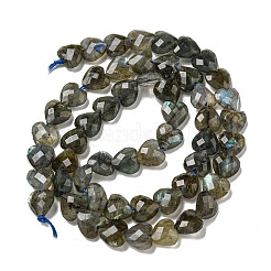 Natural Labradorite Beads Strands&nbsp;G-P544-E01-01