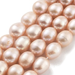 Natural Cultured Freshwater Pearl Beads Strands&nbsp;PEAR-P062-13D