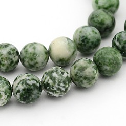 Gemstone Beads Strands&nbsp;GSR10mmC006