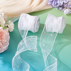 Polyester Deco Mesh Ribbons&nbsp;OCOR-TAC0024-004E