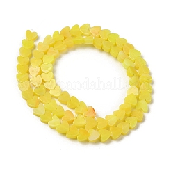 Handmade Lampwork Beads Strands&nbsp;LAMP-Q035-01G