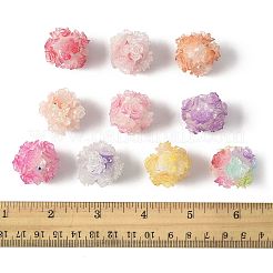 10Pcs 10 Colors Resin Beads&nbsp;RESI-FS0002-24B