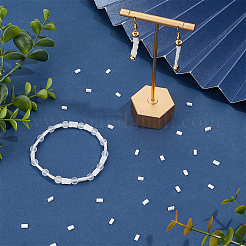 240Pcs 2-Hole Opaque Glass Seed Beads&nbsp;SEED-SC0001-62B