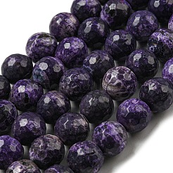 Faceted Natural Fire Crackle Agate Beads Strands&nbsp;G-F447-12mm-J09