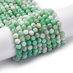 Natural Chrysoprase Beads Strands&nbsp;G-G195-A02-03