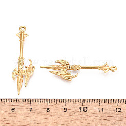 304 Stainless Steel Pendants&nbsp;STAS-N114-63G