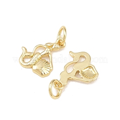 Brass Pendants&nbsp;KK-Z132-03G-03