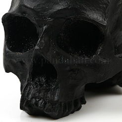 ハロウィン樹脂スカルフィギュア  ホームデスクトップ装飾用  ブラック  100x160x170mm&nbsp;PW-WG47008-01