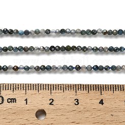 Natural Apatite Beads Strands&nbsp;G-RM2025-A18-2mm-A