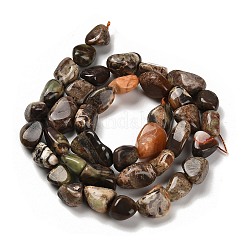 Natural Ocean Jasper Beads Strands&nbsp;G-P497-01E-76