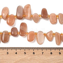 天然石サンストーンビーズ連売り  ティアドロップ  トップ掘削  シードビーズで  10~28x8~12x4~8mm  穴：0.9mm  約42~44個/連  15.16''~15.55''（38.5~39.5センチメートル）&nbsp;G-P604-A04-01