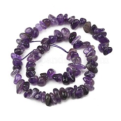 天然石アメジストビーズ連売り  チップ  6~14x3~8x3~8mm  穴：1mm  15.35~15.74インチ（39~40cm）&nbsp;G-P622-A04-01