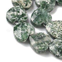 Natural Green Spot Jasper Beads Strands&nbsp;G-A309-A20-01