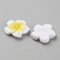Resin Cabochon&nbsp;CRES-WH20001-06A