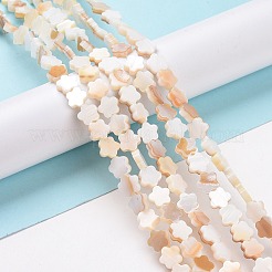 天然淡水シェルビーズ連売り  染め  花  モカシン  8x8x3mm  穴：0.8mm  約52個/連  15.16''（38.5センチメートル）&nbsp;SHEL-H002-03G