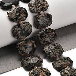 Natural Snowflake Obsidian Beads Strands&nbsp;G-H078-B22-01