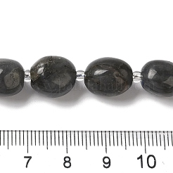 Natural Larvikite Beads Strands&nbsp;G-Q169-E05-01