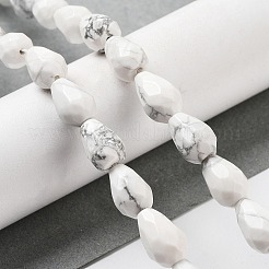 Natural Howlite Beads Strands&nbsp;G-P520-B07-01