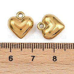 304 Stainless Steel Charms&nbsp;STAS-L303-13G