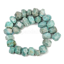 Natural Amazonite Beads Strands&nbsp;G-F796-D07-01