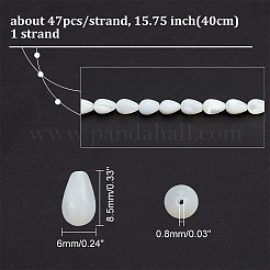 1 Strand Natural Trochus Shell Beads Strands&nbsp;BSHE-NB0001-26