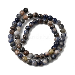 Natural Sodalite Beads Strands&nbsp;G-F591-13B