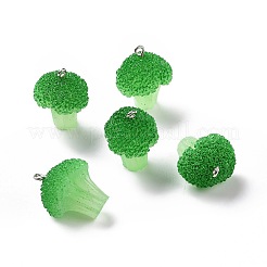 Opaque Resin Vegetables Pendants&nbsp;RESI-H144-01