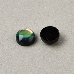 天然アワビ貝/パウア貝のカボション、エナメル加工  半円/ドーム  カラフル  6x2.5mm&nbsp;BSHE-WH0006-06A