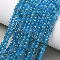 Natural Apatite Beads Strands&nbsp;G-Z160-A01-4mm