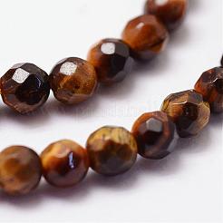 Natural Tiger Eye Beads Strands&nbsp;G-N0179-16-4mm