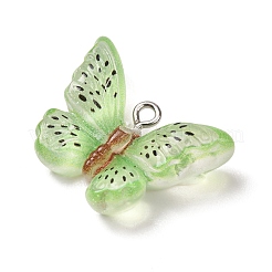 Transparent Resin Pendants&nbsp;LS-RE-CBA5B90-03C