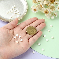 30Pcs Natural Freshwater Shell Beads&nbsp;SHEL-CJ0001-29