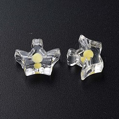 Transparent Acrylic Beads&nbsp;MACR-S373-105-B05