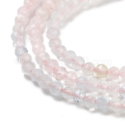 Natural Morganite Beads Strands&nbsp;G-B088-C22-02