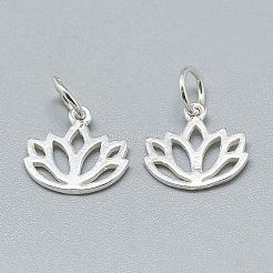 20Pcs 925 Sterling Silver Charms&nbsp;STER-CA0001-10