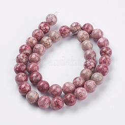 Natural Fossil Coral Beads Strands&nbsp;G-F563-01-10mm