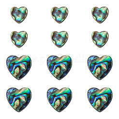 12pcs2スタイルナチュラルアワビシェル/パウアシェルビーズ  ハート  カラフル  10~15x10.5~15.5x3.5mm  穴：1mm  6個/スタイル&nbsp;SHEL-TA0001-41