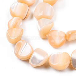 Natural Trochid Shell/Trochus Shell Beads Strands&nbsp;SSHEL-N032-49-A07