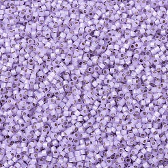 MIYUKI Delica Beads&nbsp;X-SEED-J020-DB0629
